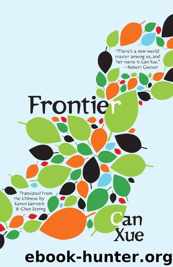 Frontier by Can Xue