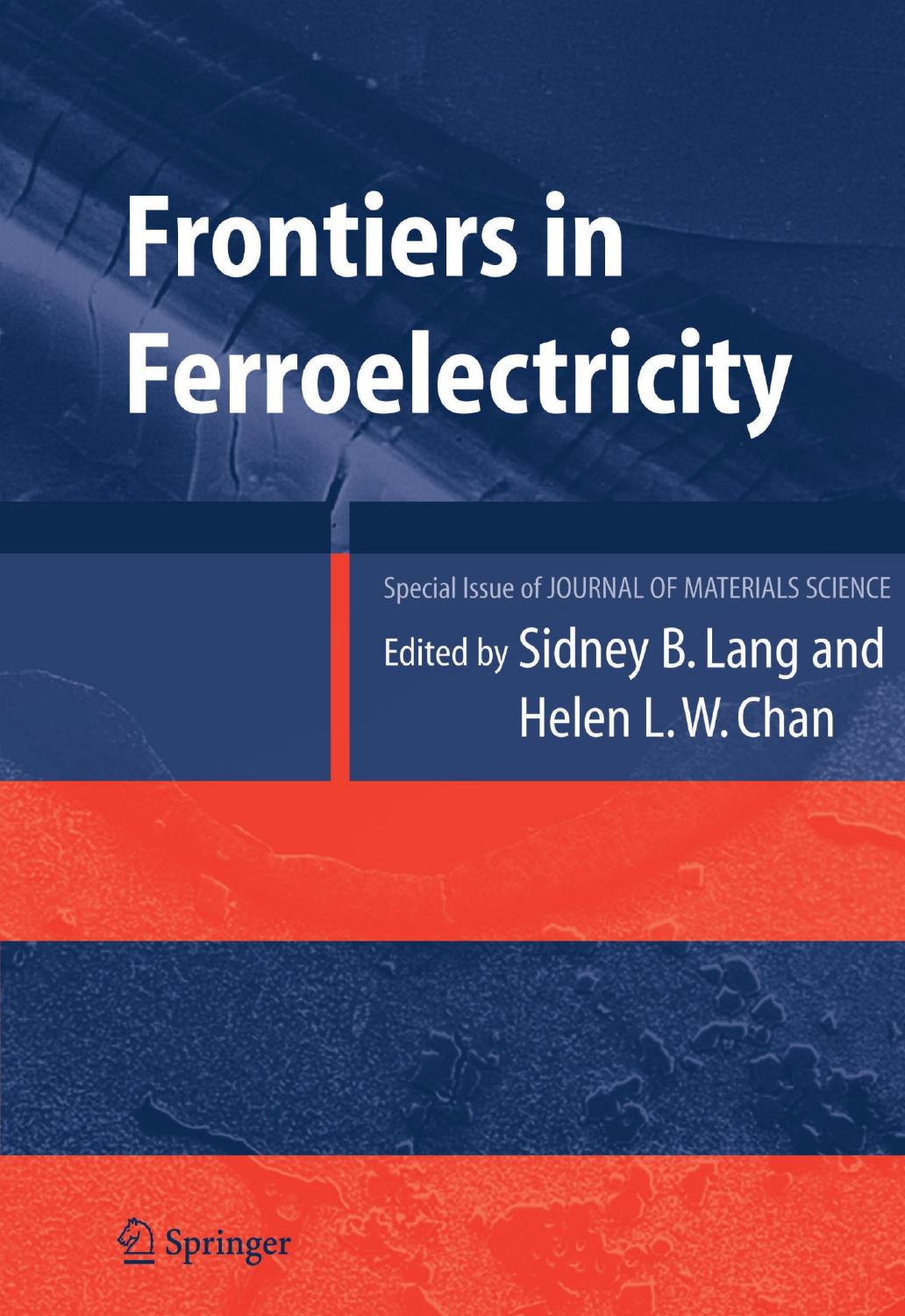 Frontiers of Ferroelectricity: A Special Issue of the Journal of Materials Science by Unknow