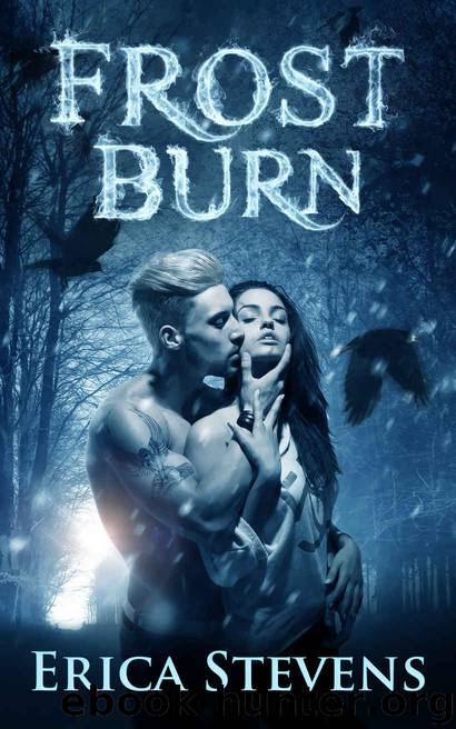Frost Burn by Erica Stevens