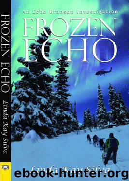 Frozen Echo by Linda Kay Silva