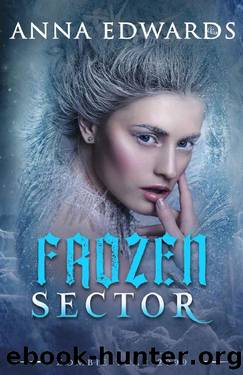 Frozen Sector by Anna Edwards