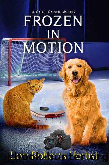 Frozen in Motion: A Rock Creek Village Cozy Mystery (Callie Cassidy Mysteries Book 3) by Lori Roberts Herbst