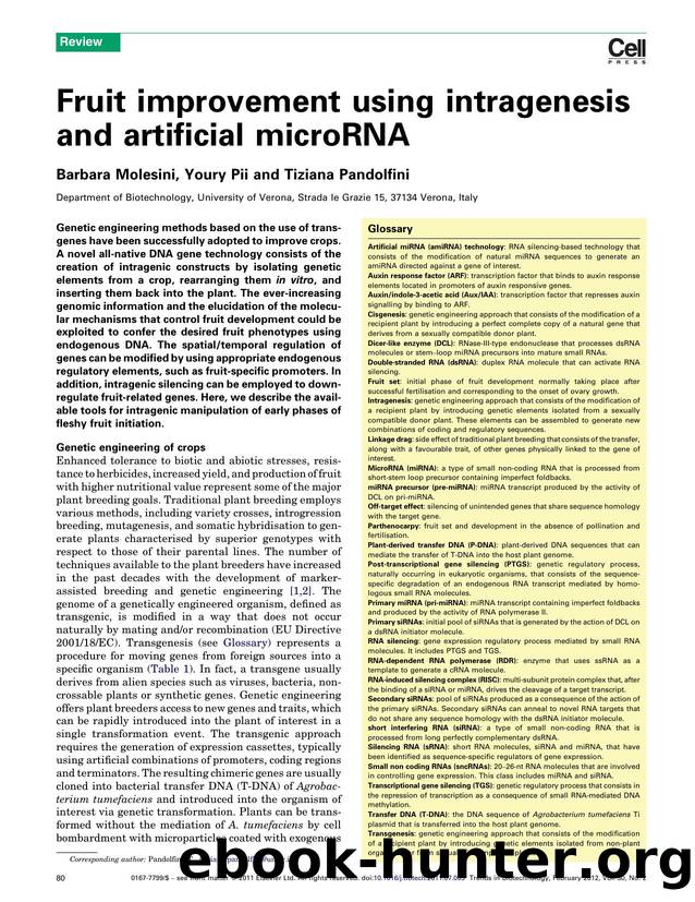 Fruit improvement using intragenesis and artificial microRNA by Barbara Molesini