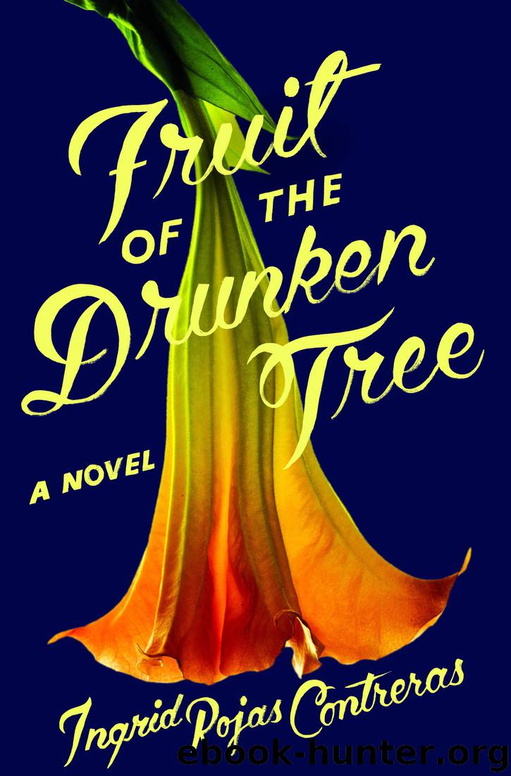 Fruit of the Drunken Tree by Ingrid Rojas Contreras