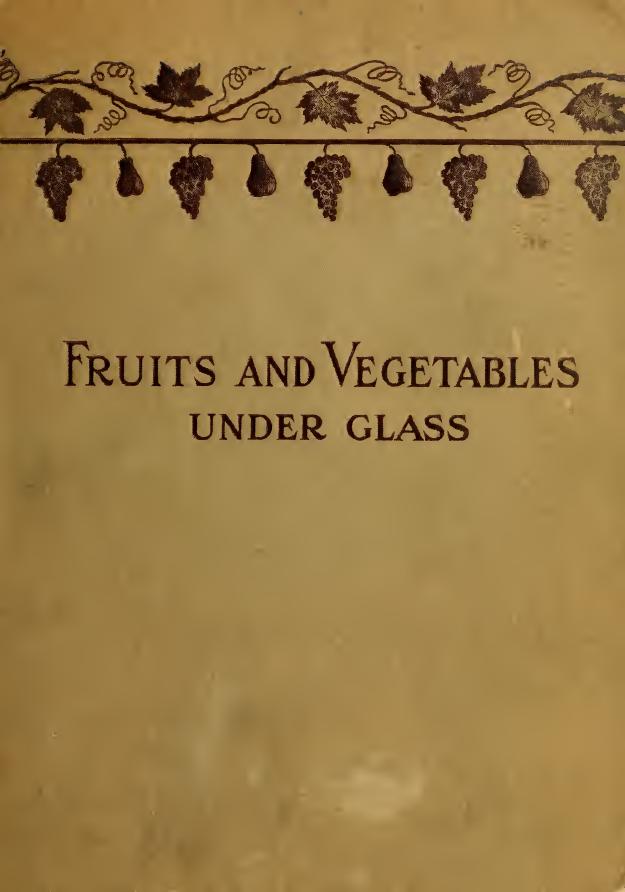 Fruits and vegetables under glass; apples, apricots, cherries, figs, grapes, melons, peaches and nectarines, pears, pineapples, plums, strawberries; asparagus, beans, beets, carrot by Turner William 1859-