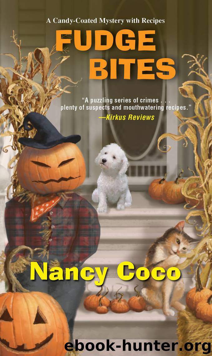 Fudge Bites by Nancy CoCo