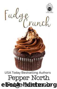 Fudge Crunch (Little Cakes Book 10) by Pepper North & Paige Michaels
