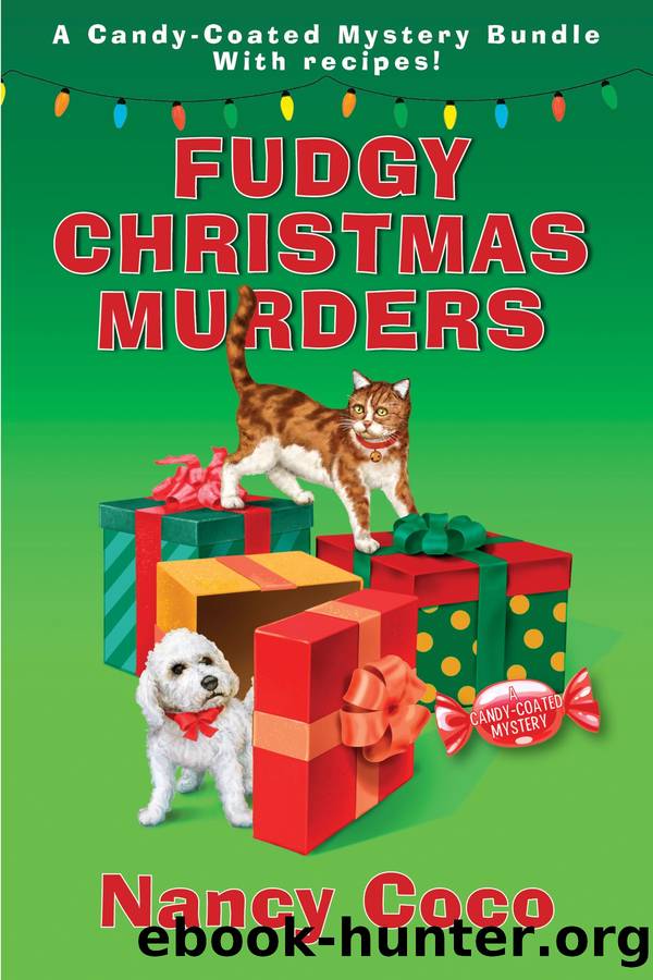 Fudgy Christmas Murders by Nancy Coco