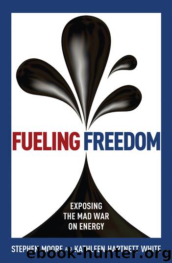 Fueling Freedom by Stephen Moore