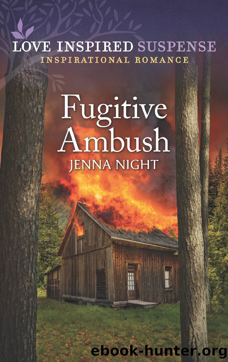 Fugitive Ambush by Jenna Night