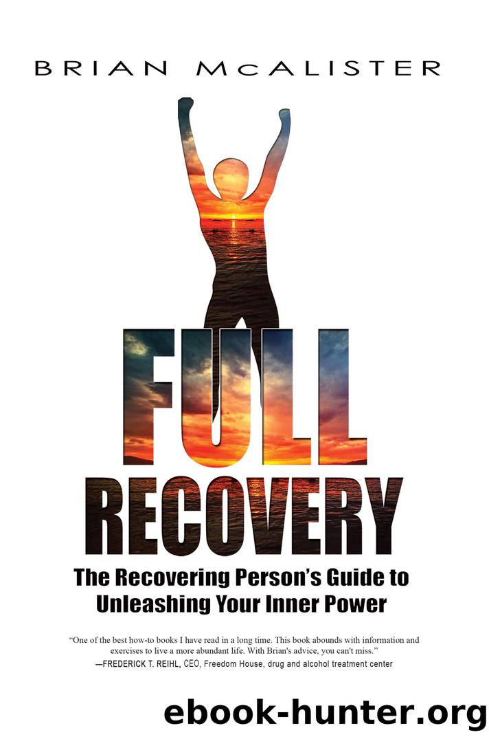 Full Recovery by Brian McAlister