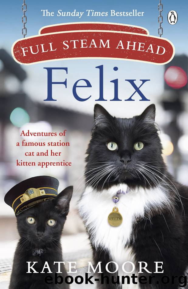 Full Steam Ahead, Felix by Kate Moore