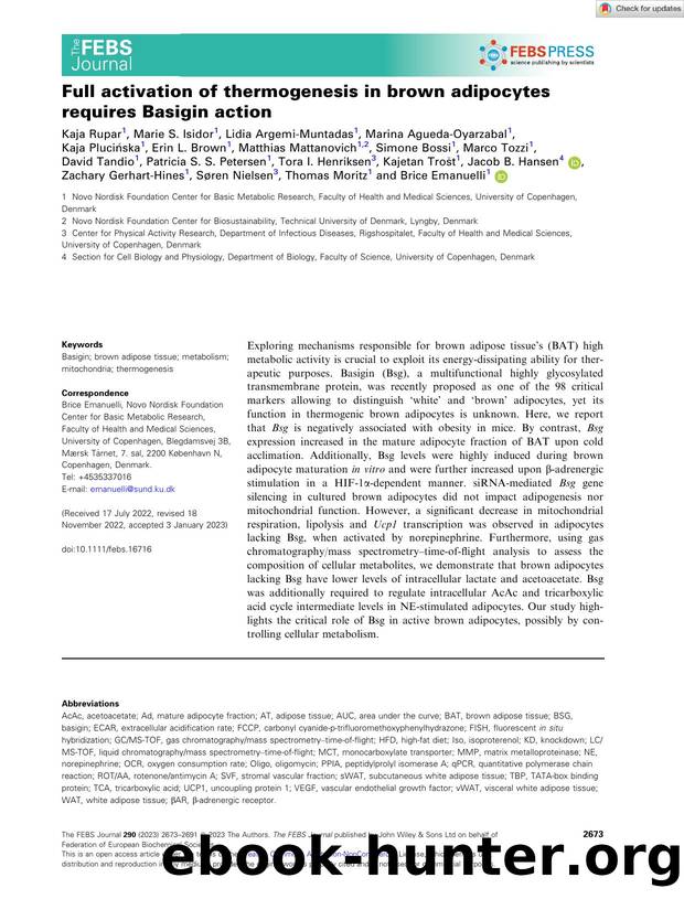 Full activation of thermogenesis in brown adipocytes requires Basigin action by Unknown
