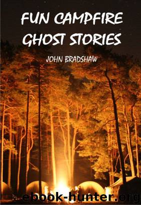 Fun Campfire Ghost Stories by Bradshaw John