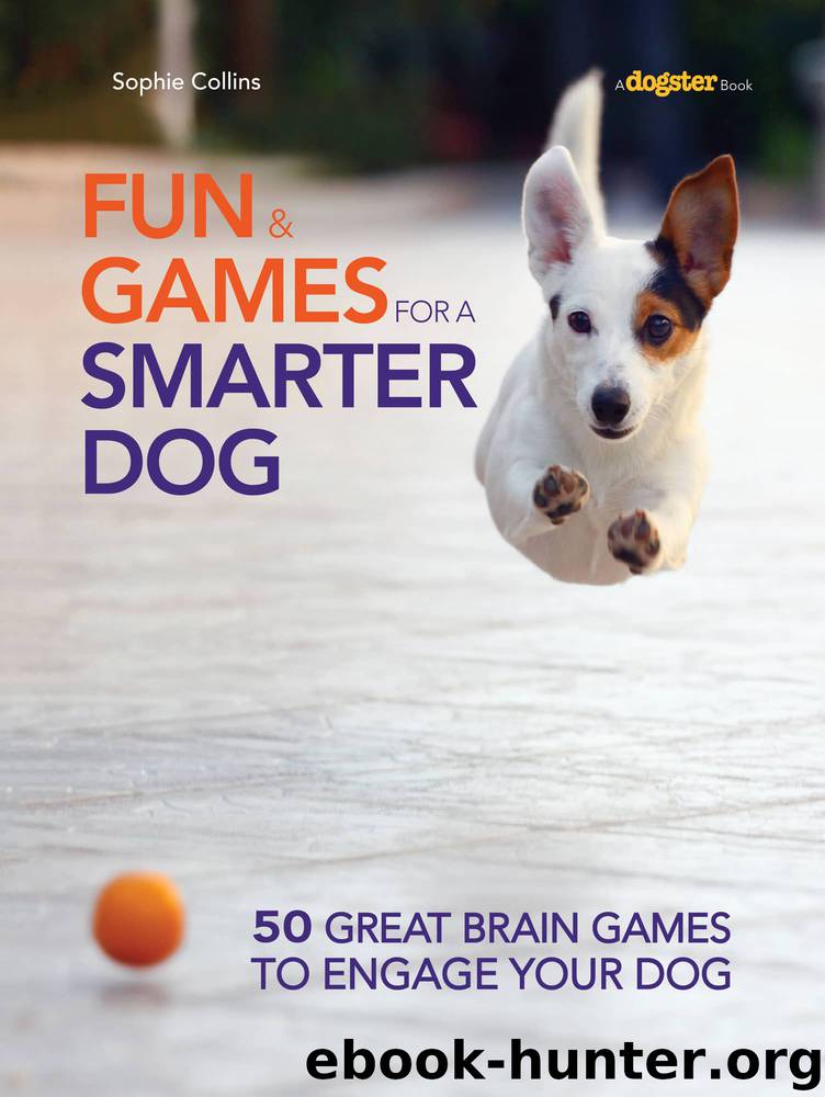 Fun and Games for a Smarter Dog by Sophie Collins