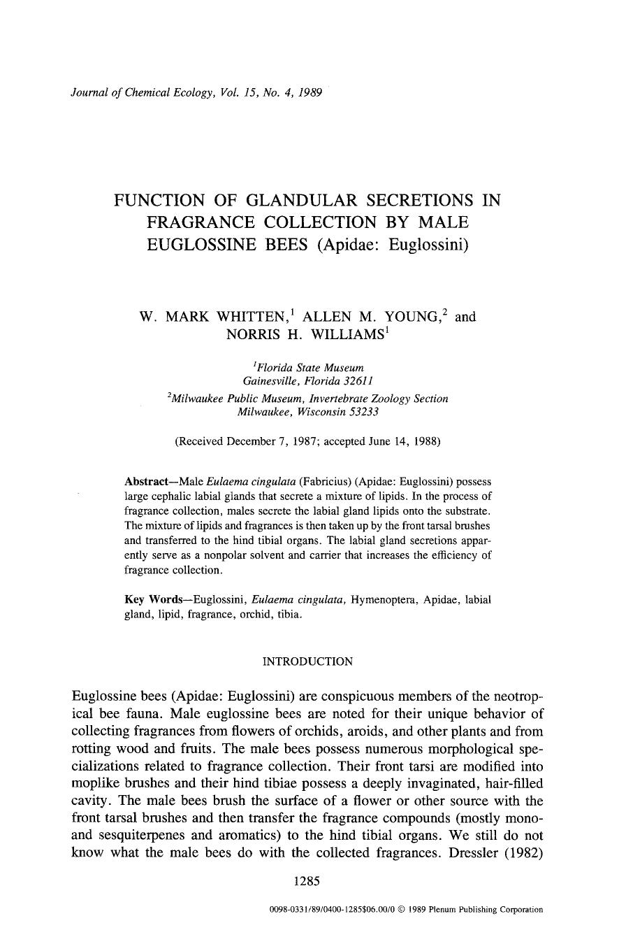 Function of glandular secretions in fragrance collection by male euglossine bees (Apidae: Euglossini) by Unknown