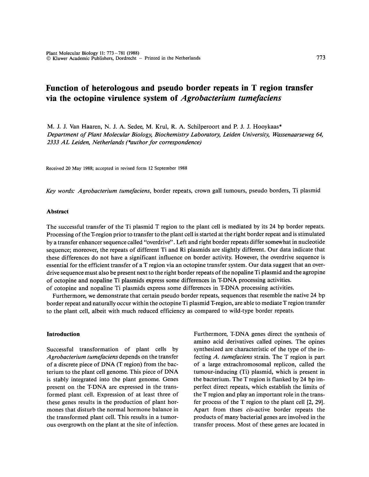 Function of heterologous and pseudo border repeats in T region transfer via the octopine virulence system of <Emphasis Type="Italic">Agrobacterium tumefaciens <Emphasis> by Unknown