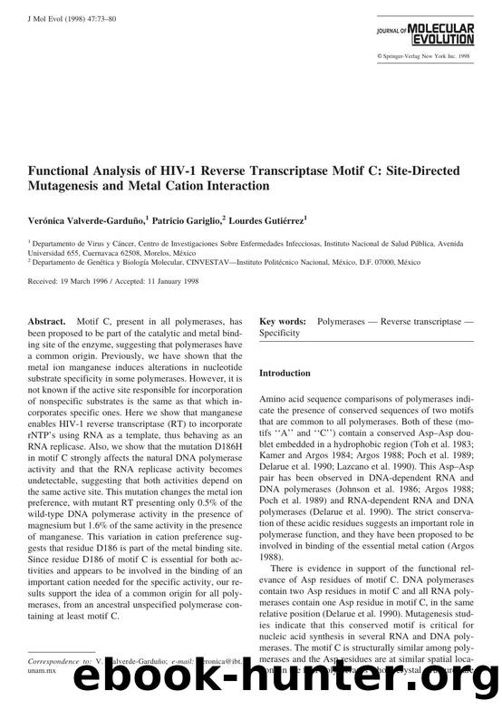Functional Analysis of HIV-1 Reverse Transcriptase Motif C: Site-Directed Mutagenesis and Metal Cation Interaction by Valverde-Garduno V. et al