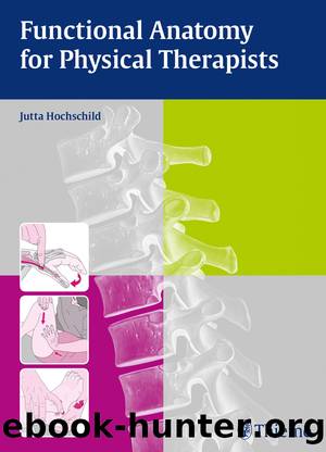 Functional Anatomy for Physical Therapists (9783131768711) by Hochschild Jutta