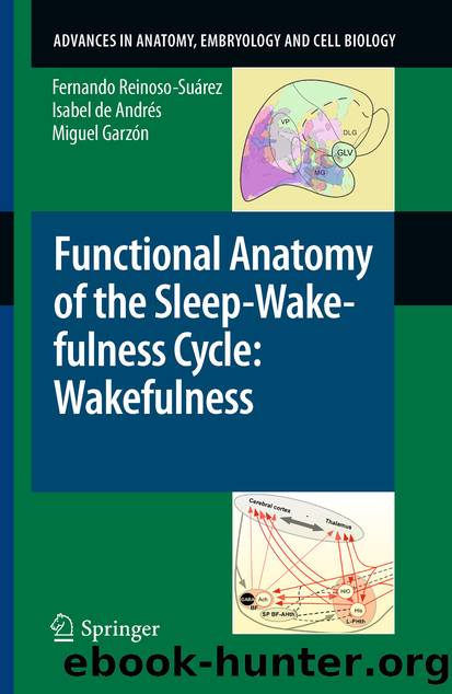 Functional Anatomy of the Sleep-Wakefulness Cycle: Wakefulness by Fernando Reinoso-Suárez Isabel de Andrés & Miguel Garzón