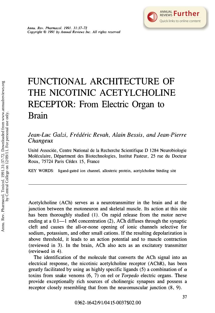 Functional Architecture of the Nicotinic Acetylcholine Receptor: From Electric Organ to Brain by J L Galzi F Revah A Bessis & J P Changeux