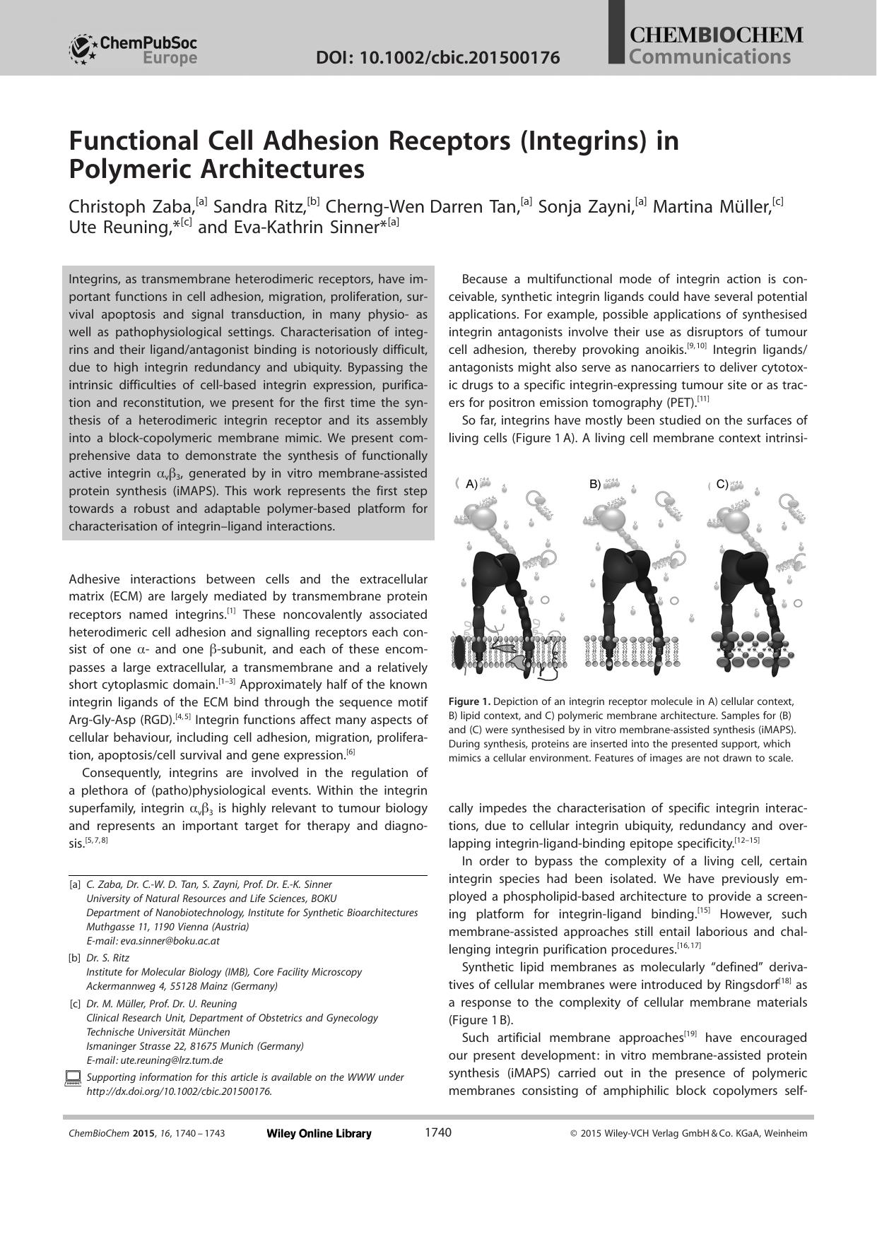 Functional Cell Adhesion Receptors (Integrins) in Polymeric Architectures by Unknown