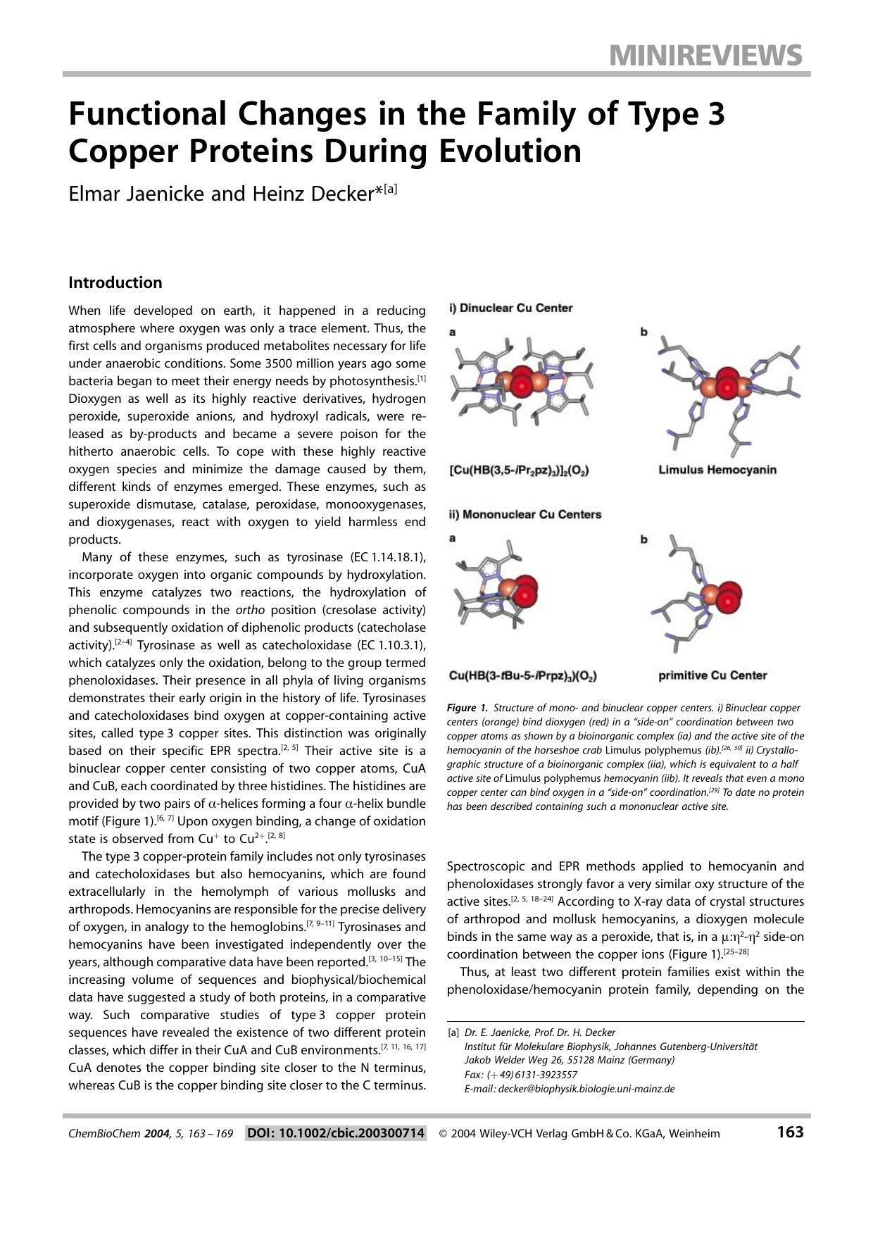 Functional Changes in the Family of Type 3 Copper Proteins During Evolution by Unknown
