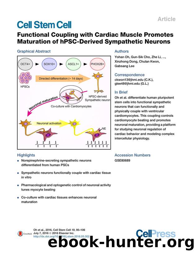 Functional Coupling with Cardiac Muscle Promotes Maturation of hPSC-Derived Sympathetic Neurons by unknow