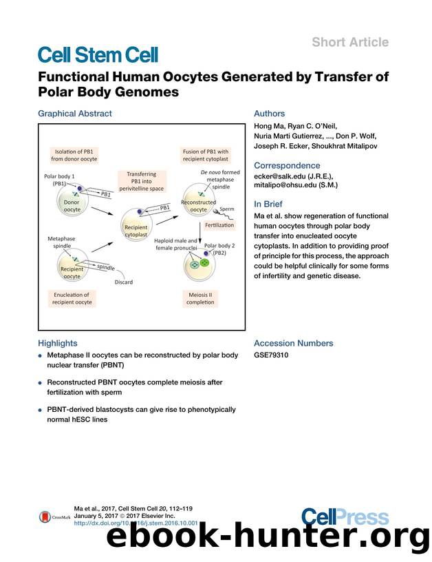Functional Human Oocytes Generated by Transfer of Polar Body Genomes by unknow