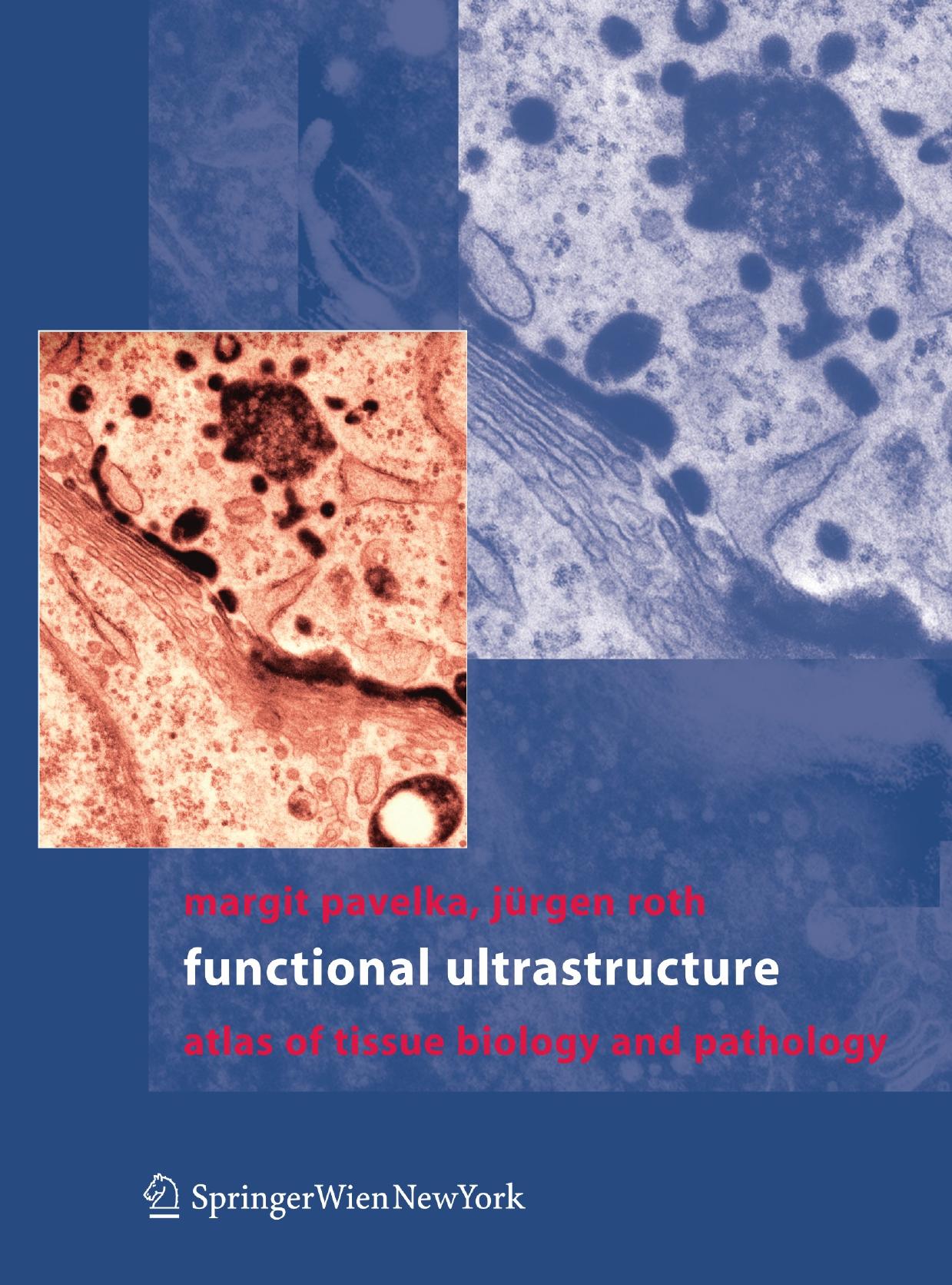 Functional Ultrastructure: An Atlas of Tissue Biology and Pathology by Prof. Dr. med. Margit Pavelka Prof. Dr. med. Dr. sc. Dr. h. c. Jürgen Roth (auth.)