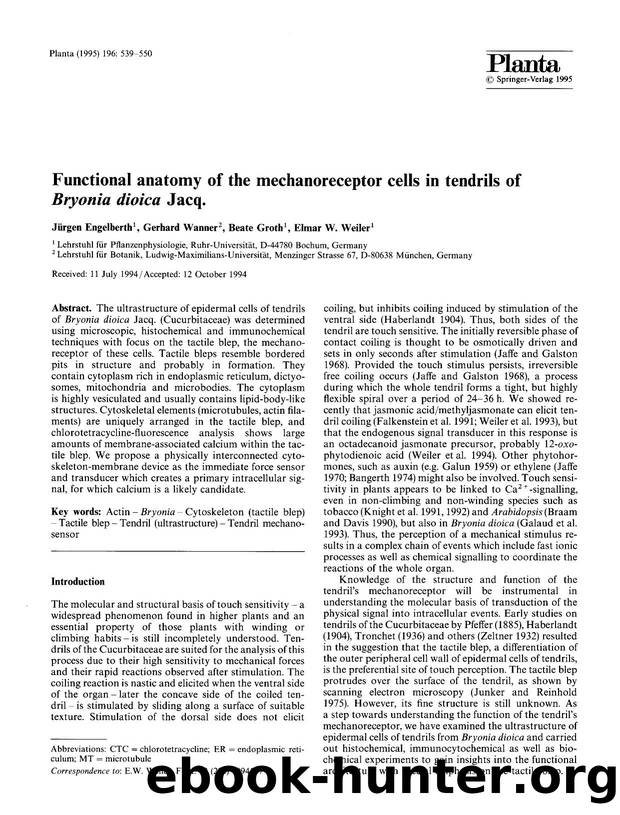 Functional anatomy of the mechanoreceptor cells in tendrils of <Emphasis Type="Italic">Bryonia dioica<Emphasis> Jacq. by Unknown