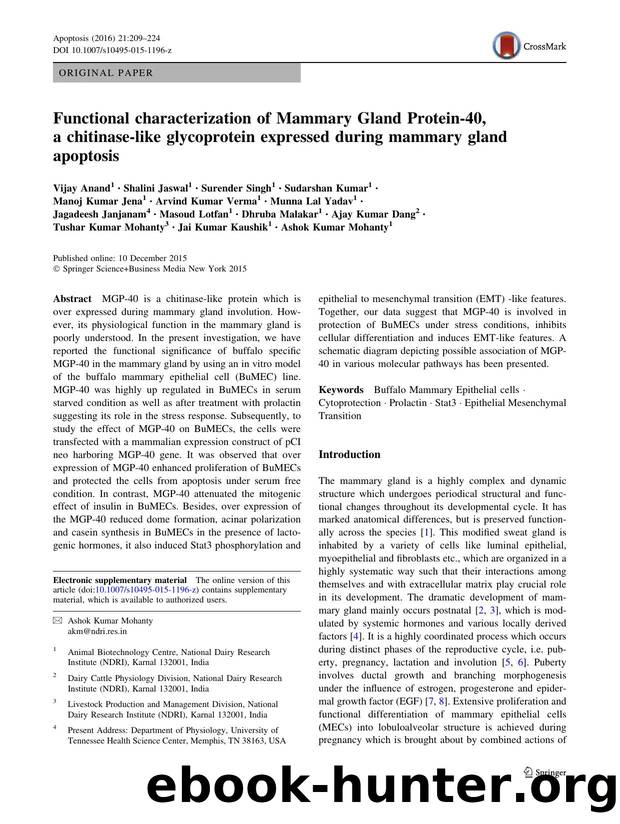 Functional characterization of Mammary Gland Protein-40, a chitinase-like glycoprotein expressed during mammary gland apoptosis by unknow