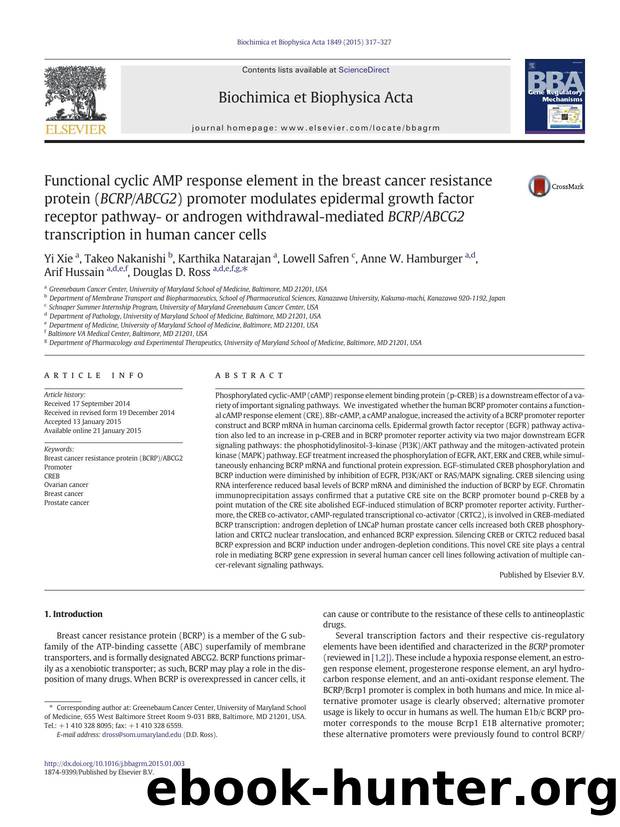Functional cyclic AMP response element in the breast cancer resistance protein (BCRPABCG2) promoter modulates epidermal growth factor receptor pathway- or androgen withdrawal-media by unknow