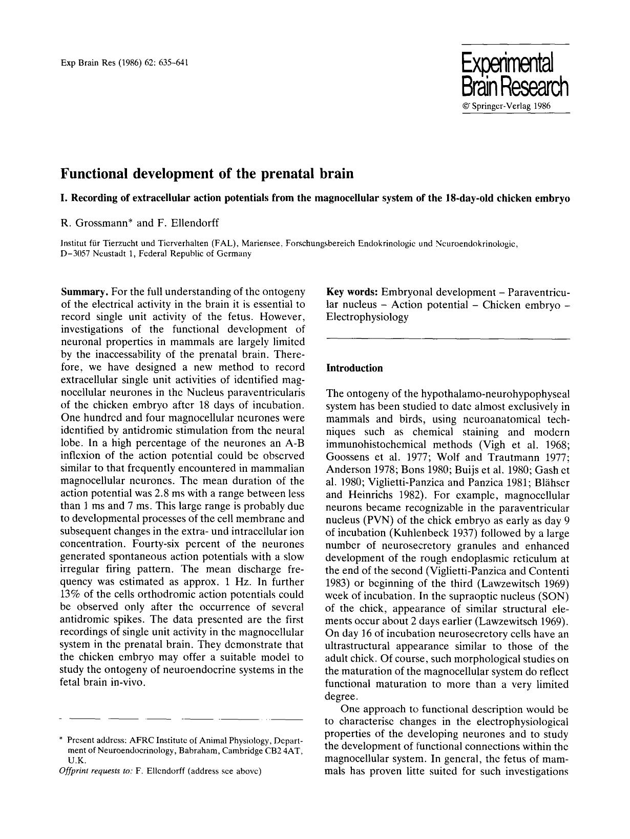 Functional development of the prenatal brain by Unknown