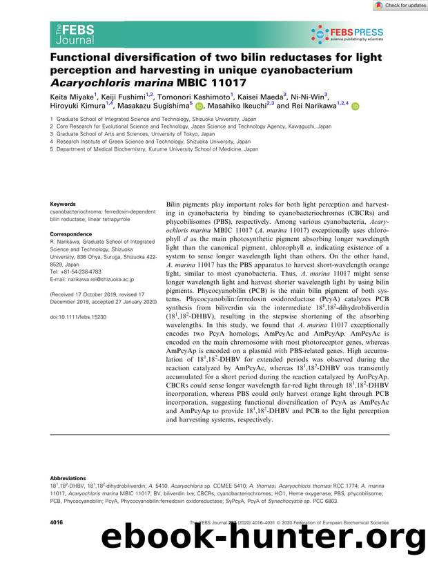 Functional diversification of two bilin reductases for light perception and harvesting in unique cyanobacterium AcaryochlorisÂ marina MBIC 11017 by Unknown