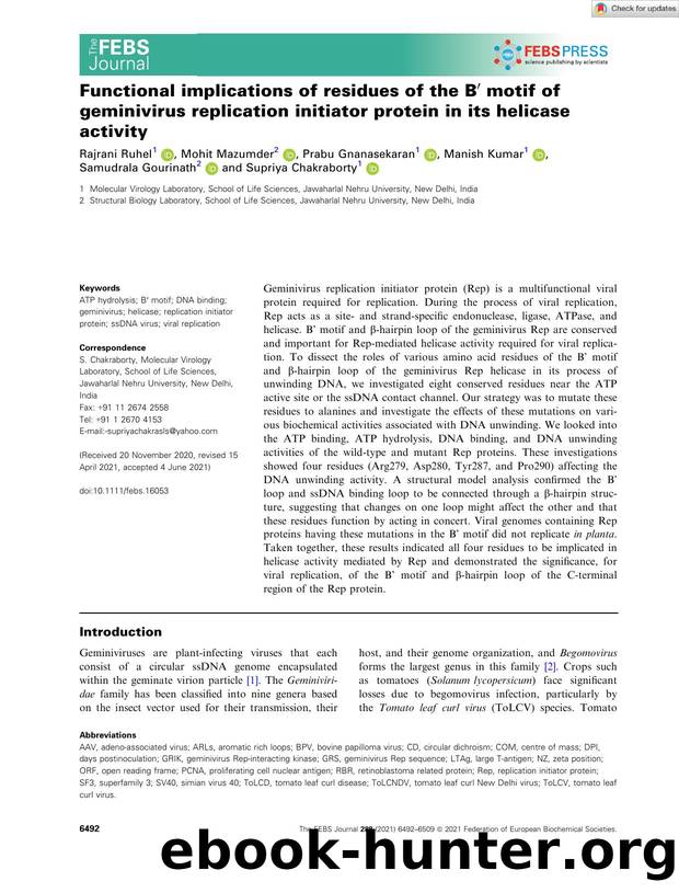 Functional implications of residues of the Bâ² motif of geminivirus replication initiator protein in its helicase activity by Unknown