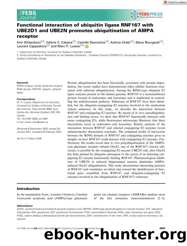 Functional interaction of ubiquitin ligase RNF167 with UBE2D1 and UBE2N promotes ubiquitination of AMPA receptor by Unknown
