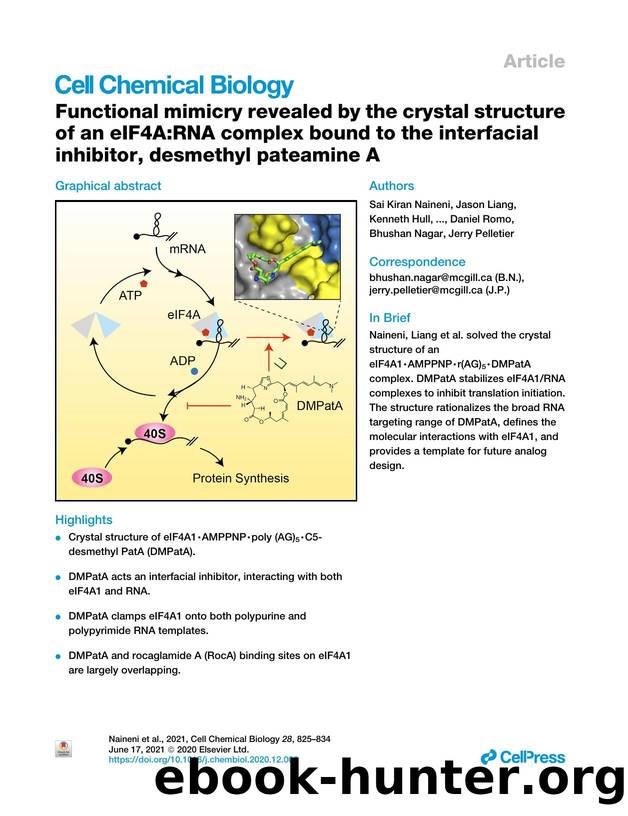 Functional mimicry revealed by the crystal structure of an eIF4A:RNA complex bound to the interfacial inhibitor, desmethyl pateamine A by unknow
