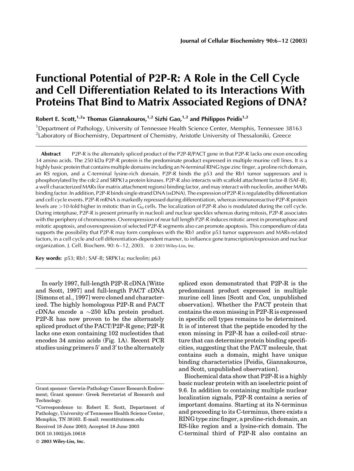 Functional potential of P2P-R: A role in the cell cycle and cell differentiation related to its interactions with proteins that bind to matrix associated regions of DNA? by Unknown