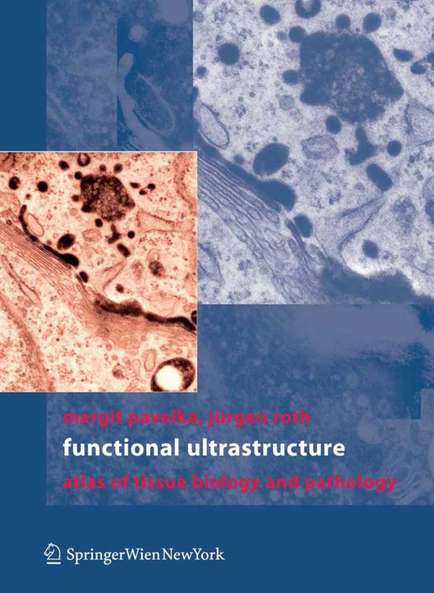Functional ultrastructure: an atlas of tissue biology and pathology by Margit Pavelka Jürgen Roth