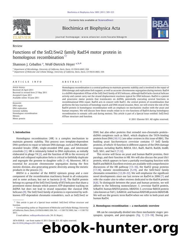 Functions of the Snf2Swi2 family Rad54 motor protein in homologous recombination by Shannon J. Ceballos & Wolf-Dietrich Heyer