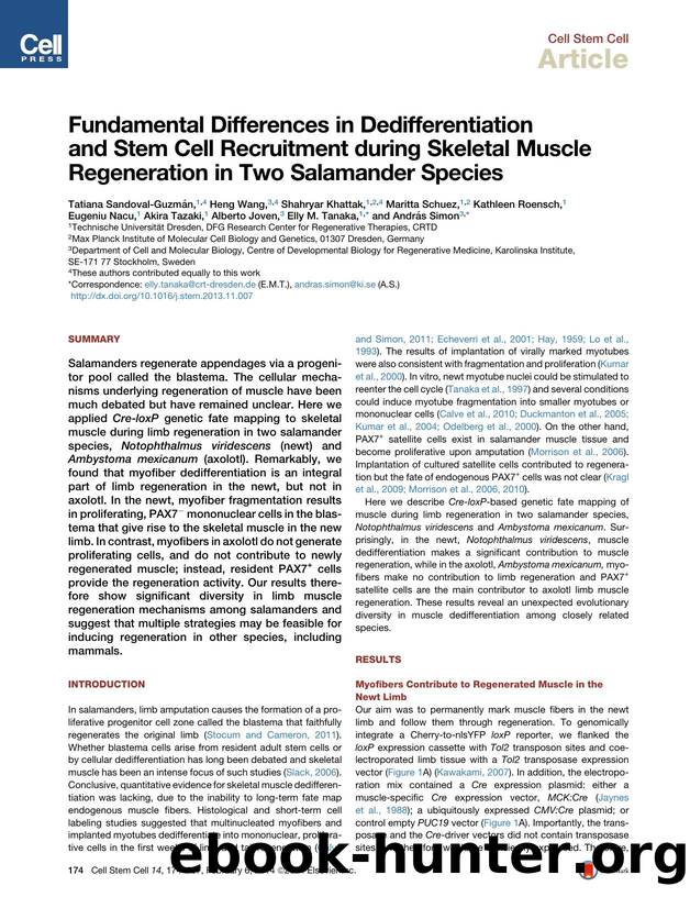 Fundamental Differences in Dedifferentiation and Stem Cell Recruitment during Skeletal Muscle Regeneration in Two Salamander Species by unknow