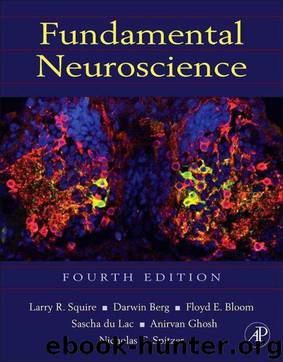 Fundamental Neuroscience (Squire,Fundamental Neuroscience) by Unknown