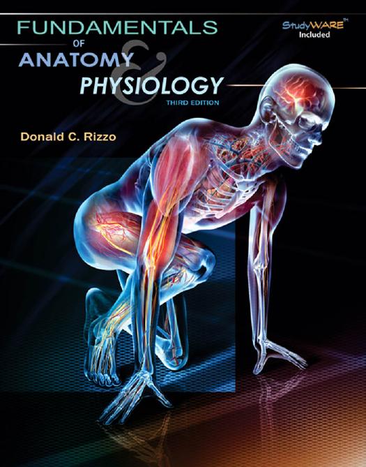 Fundamentals of Anatomy and Physiology, Third Edition by Donald C Rizzo