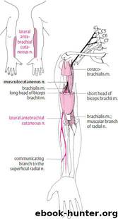 Fundamentals of Neurology: An Illustrated Guide by Mark Mumenthaler Heinrich Mattle