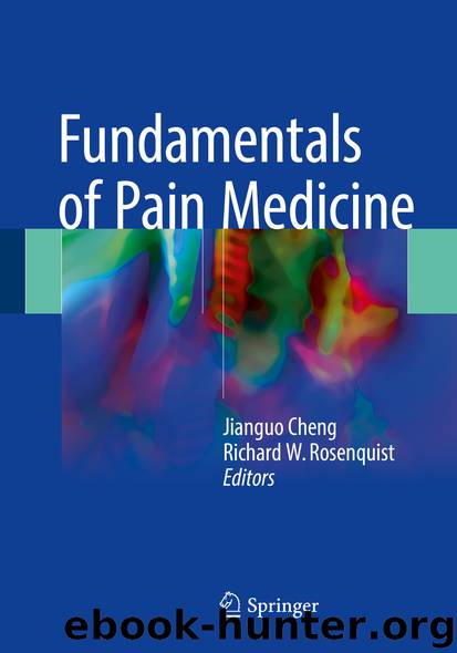 Fundamentals of Pain Medicine by Jianguo Cheng & Richard W. Rosenquist