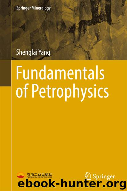 Fundamentals of Petrophysics by Shenglai Yang