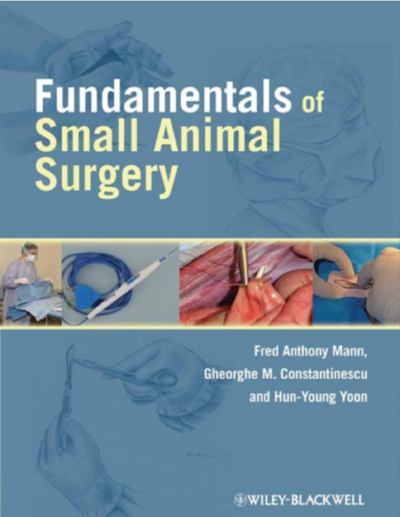 Fundamentals of small animal surgery by F A Mann; Gheorghe M Constantinescu; Hun-Young Yoon