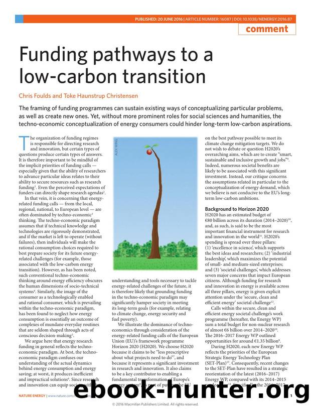 Funding pathways to a low-carbon transition by Chris Foulds & Toke Haunstrup Christensen