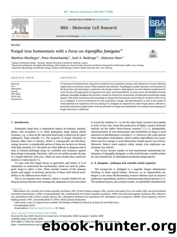 Fungal iron homeostasis with a focus on Aspergillus fumigatus by Matthias Misslinger & Peter Hortschansky & Axel A. Brakhage & Hubertus Haas